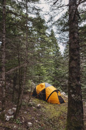 A bright yellow tent is set up in a dense, lush forest, surrounded by tall trees and rocky ground, showcasing a peaceful daytime camping spot.