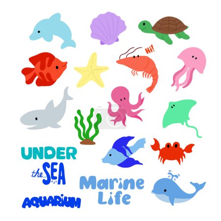 Hand drawn marine and sea lives such as dolphin, whale, shark, turtle, coral reef, shrimp, crab, sea shell, jelly fish, starfish, stingray for aquarium decoration, under the sea sticker, fish logo, icon, cartoon, character, animals, plush toy, dolls