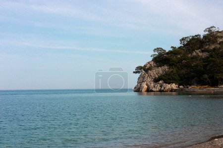 Photo for Beautiful view of cliffs with trees on the Mediterranean coast, beach, sky and sea in the background. High quality photo - Royalty Free Image