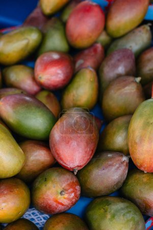 group of exotic mango fruits on a stall at the bazaar