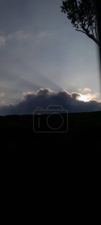 Ein Silhouettenbild von Wolken und Sonne, die neben einem Ast aufsteigen