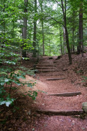 Téléchargez les photos : Zone de randonnée Escaliers de forêt de Saxe. Photo de haute qualité - en image libre de droit