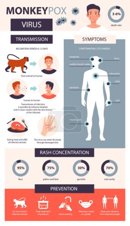 Affenpocken-Infografik. Infektion, Symptome, Vorbeugung gegen Affenpocken. Flache Vektorabbildung.