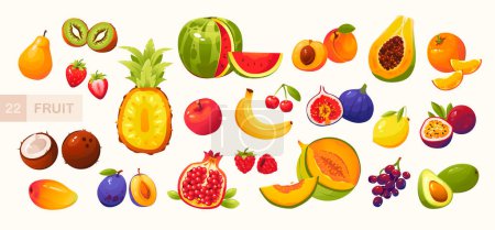 Téléchargez les illustrations : Illustration vectorielle de fruits et baies en style dessin animé. Fruits d'été juteux.Big Fruit ensemble - en licence libre de droit
