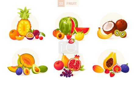 Téléchargez les illustrations : Illustration vectorielle de fruits et baies en style dessin animé. Fruits d'été juteux. Big Fruit ensemble - en licence libre de droit