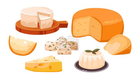 Illustration for A set of different types of cheese. Dairy products. Organic homemade food. Cartoon vector illustration - Royalty Free Image