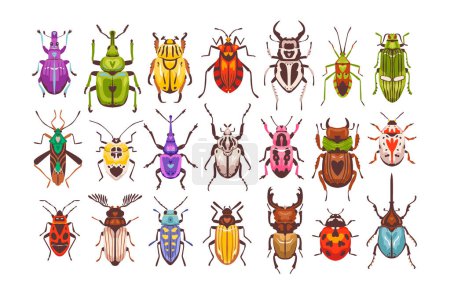 Beetles and bugs. Colorful insects of various shapes. Beetle set vector flat illustration
