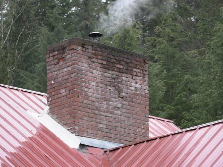 Old weathered brick chimney and metal roof located in the Pacific Northwest forest.
