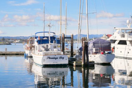 Téléchargez les photos : Quai du port de Victoria à la promenade David Foster sur l'île de Vancouver à Victoria, Colombie-Britannique, Canada - en image libre de droit