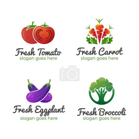 Téléchargez les illustrations : Logos d'aliments sains de fruits et légumes frais Logos, étiquettes et icônes de légumes - en licence libre de droit