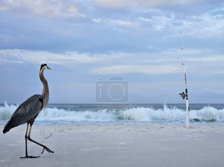 Minimalista paisaje de playa en Florida con garza viendo carrete de pesca.