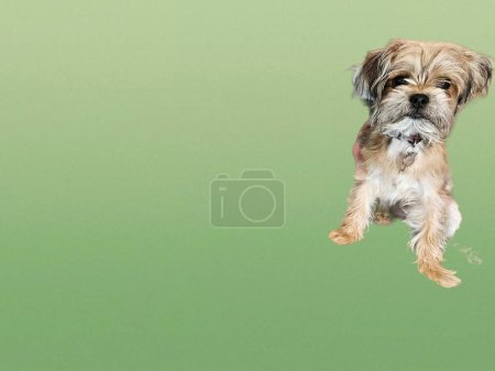 Minimalistisches Foto eines niedlichen Hundes, der über die Zukunft auf hellgrünem Hintergrund nachdenkt. 