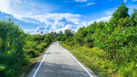 Eine graue Straße im grünen Dschungel und blaue Linie für den Radweg bei strahlend bewölktem Himmel.
