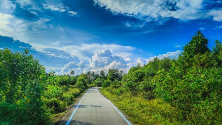 Pantai Sepat, Kuantan Pahang, Malaysia. Eine graue Straße im grünen Dschungel und blaue Linie für den Radweg bei strahlend bewölktem Himmel.