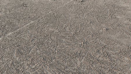 Sandstruktur mit Blasenkrebsen. Diese Muster entstehen, wenn Sandblasenkrebse im feuchten Sand am Strand von Pantai Anak Air Kuantan Pahang nach Nahrung suchen.