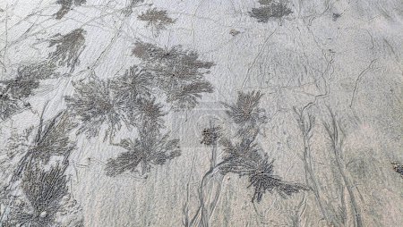 Sandstruktur mit Blasenkrebsen. Diese Muster entstehen, wenn Sandblasenkrebse im feuchten Sand am Strand von Pantai Anak Air Kuantan Pahang nach Nahrung suchen.