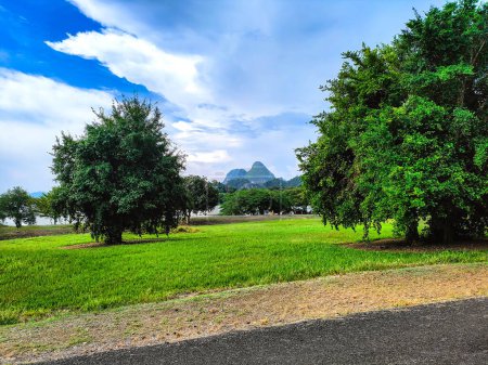A beautiful Scenic view of the park with asymmetrical trees, green grass field, a mountain at vanishing point and a cloudy blue sky background at tasik timah tasoh, perlis, malaysia.