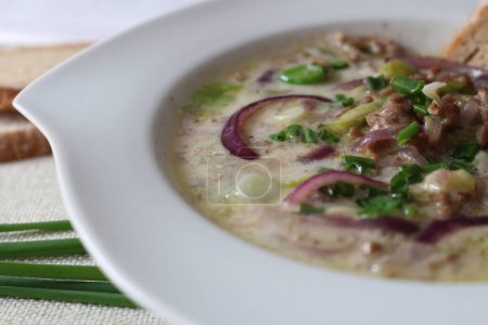 German Comfort in a Bowl: Hearty Cheese Soup with Ground Meat, Red Onions, and Leeks