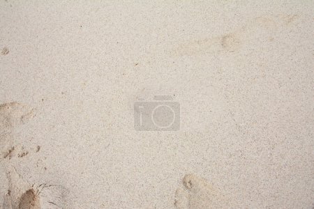 Textura de arena fina de playa.