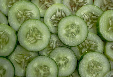 cucumber slice texture. fresh cucumber. Cucumber slices as background. Green fresh cucumbers as background. Cucumber pattern texture. Vegetable food photo. Cucumis sativus, Cucurbitales.