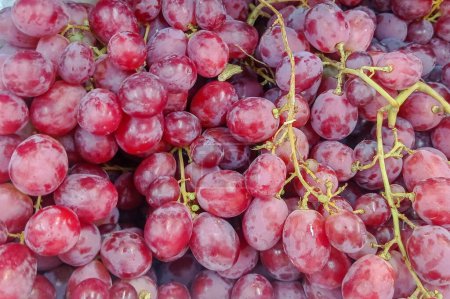 Nahaufnahme von rohen Bio-süßen roten Trauben Hintergrund, Weintrauben Textur, Gesunde Früchte Rotweintrauben Hintergrund, Draufsicht. 