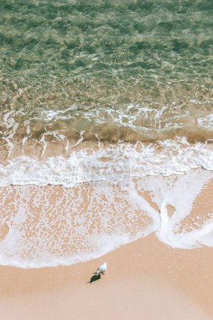 Le paradis de la mouette : un havre côtier serein avec des sables roses, des eaux cristallines et un soleil éclatant