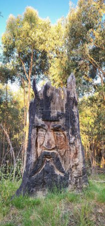 Téléchargez les photos : Un tronc d'arbre coupé et brûlé par le feu transformé en totem, avec un visage indigène mystérieux et sérieux, au milieu de la forêt sur le bord d'une route à l'intérieur de l'Australie - en image libre de droit