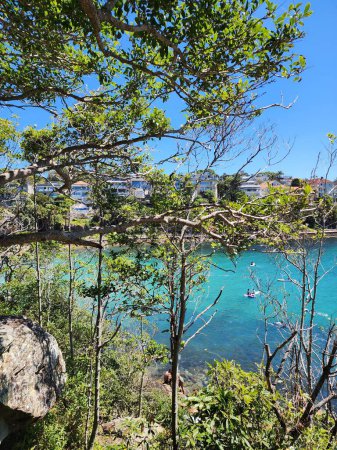 Blick auf das Meer vom Shelly Beach in Sydney, Australien, an einem sonnigen Tag, mit Blick zwischen Bäumen, die einen Rahmen bilden, und dem blauen Meer, Felsen und Häusern.