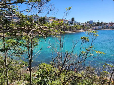 Vista del mar desde Shelly Beach, en Sydney, Australia, en un día soleado, con una vista entre los árboles que forman un marco, y el mar azul, rocas y casas.