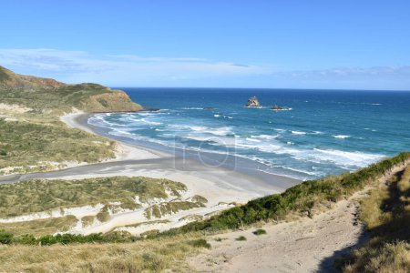 Der schöne Blick auf die Sandfly Bay auf der Südinsel, Neuseeland