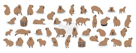 capybara collection 1 cute on a white background, vector illustration. capybara is the largest rodent.