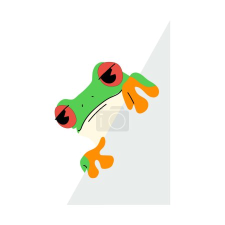 Illustration for Red-eyed tree frog single cute and paper 3 ,vector illustration - Royalty Free Image