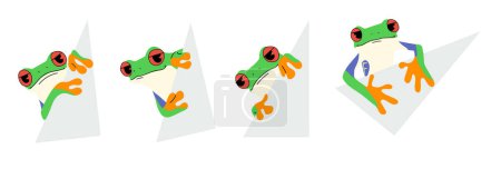 red-eyed tree frog cute and paper  ,vector illustration