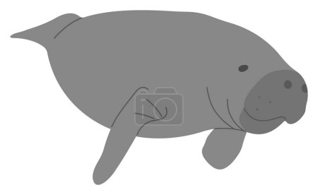 Manatee Single 20 cute on a white background, vector illustration