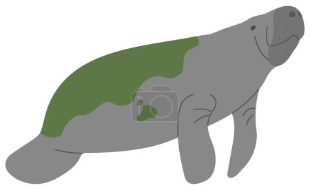 Manatee Single 19 cute on a white background, vector illustration