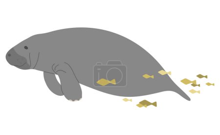 Manatee Single 17 cute on a white background, vector illustration