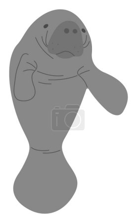 Manatee Single 15 cute on a white background, vector illustration