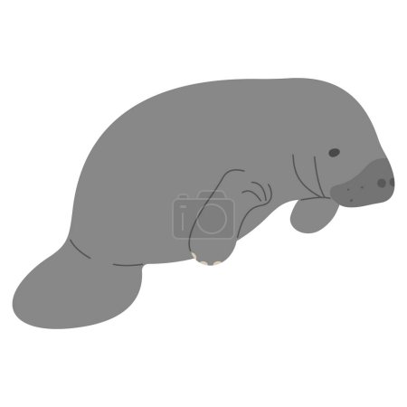 Manatee Single 10 cute on a white background, vector illustration