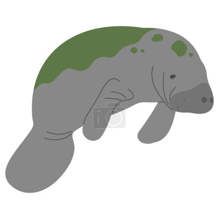 Manatee Single 9 cute on a white background, vector illustration