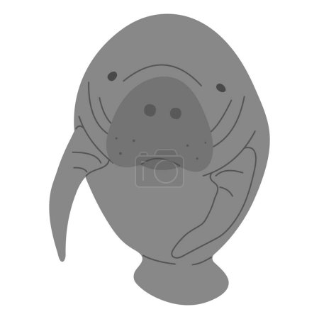 Manatee Single 6 cute on a white background, vector illustration