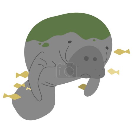 Manatee Single 5 cute on a white background, vector illustration