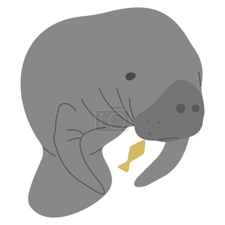 Manatee Single 2 cute on a white background, vector illustration