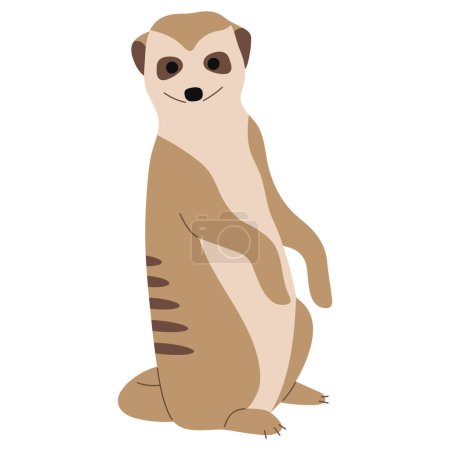 Meerkat Single 18 cute on a white background, vector illustration