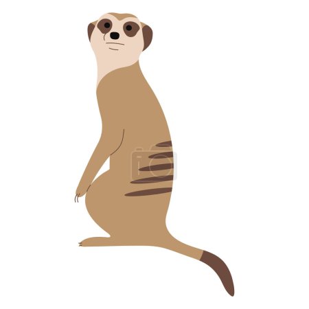Meerkat Single 14 cute on a white background, vector illustration