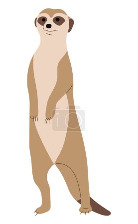 Meerkat Single 11 cute on a white background, vector illustration