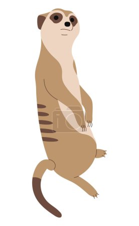 Meerkat Single 4 cute on a white background, vector illustration