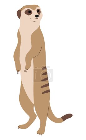 Meerkat Single 1 cute on a white background, vector illustration