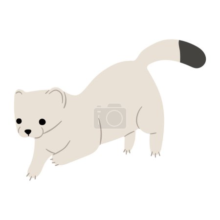 Stoats,ermine and weasels cute Single 35 on a white background, vector illustration. 