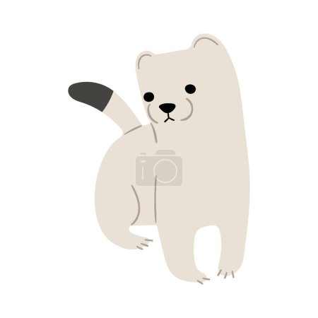 Stoats,ermine and weasels cute Single 30 on a white background, vector illustration. 