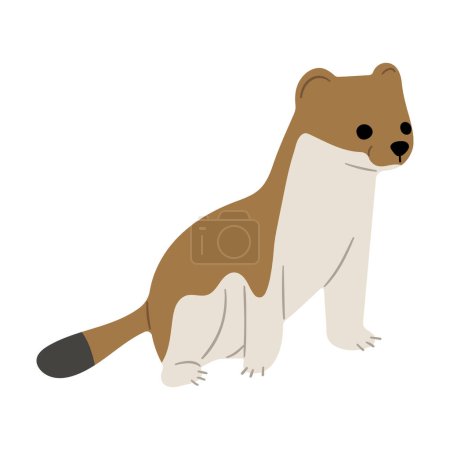Stoats,ermine and weasels cute Single 19 on a white background, vector illustration. 